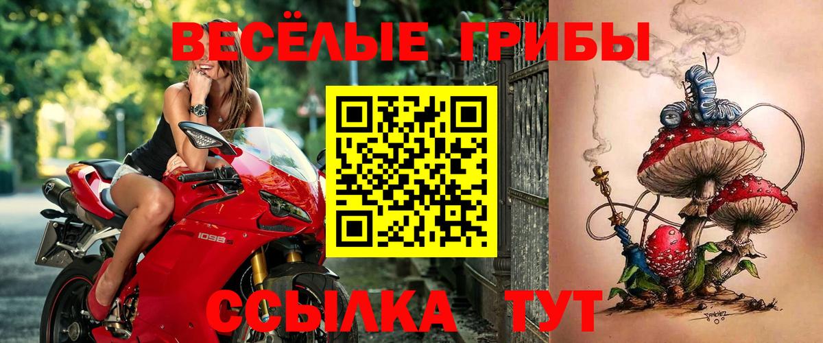 Псилоцибиновые грибы Cubensis  где продают   Красноармейск  Вход с VPN  Псилоцибиновые грибы GOLDEN TEACHER 